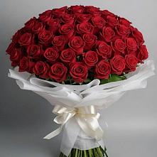 Букет 101 Красная роза Блэк Мэджик в Ярцево