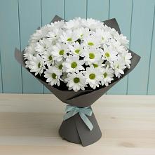 Букет цветов из:  Хризантемы в Ярцево