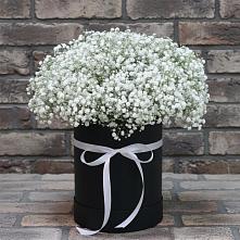Цветочная композиция из Гипсофила в шляпной коробке в Ярцево