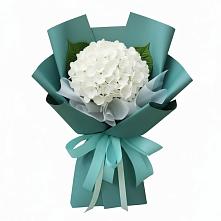 Букет цветов из:  Гортензия в Ярцево